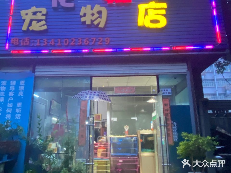 花姐宠物店