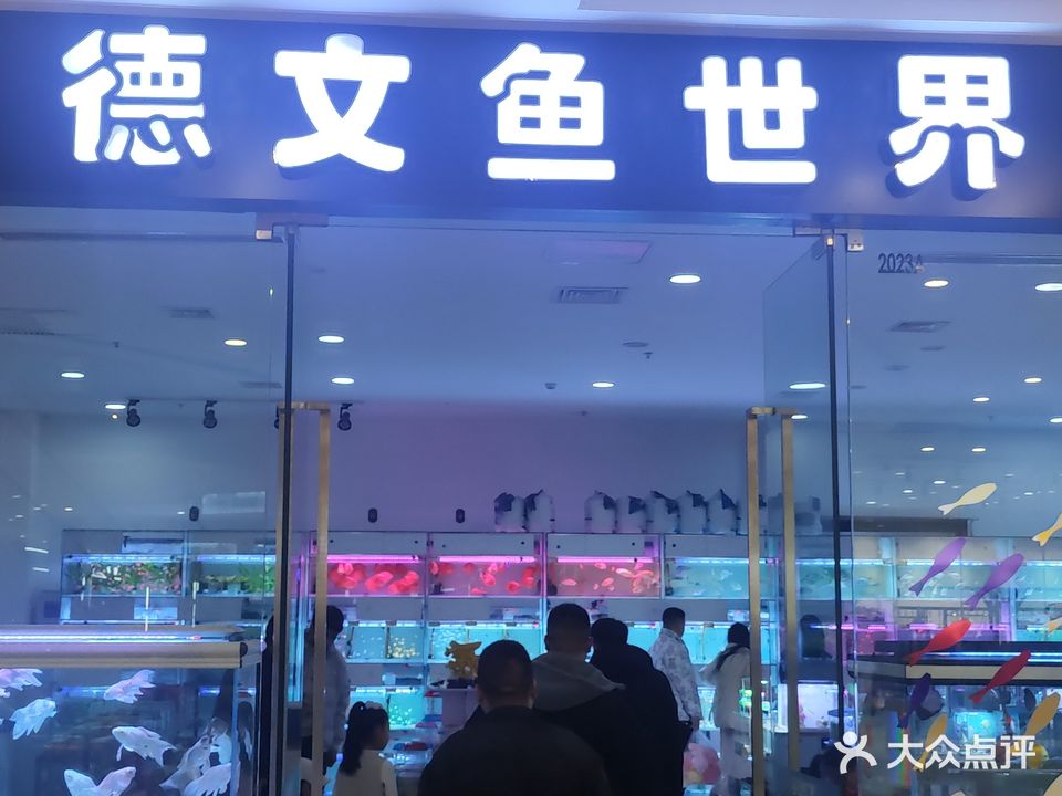 德文鱼世界(万达广场石嘴山店)