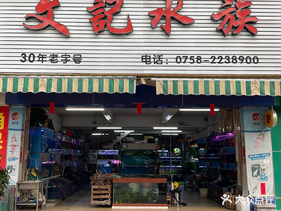 文记水族(西江路店)