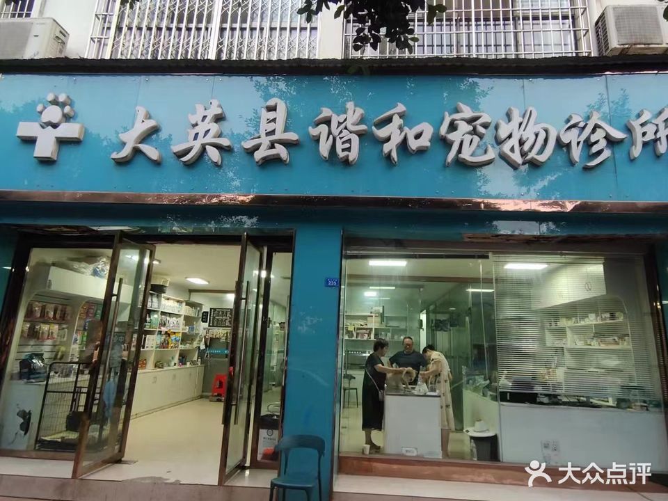 谐和宠物医院(大英店)