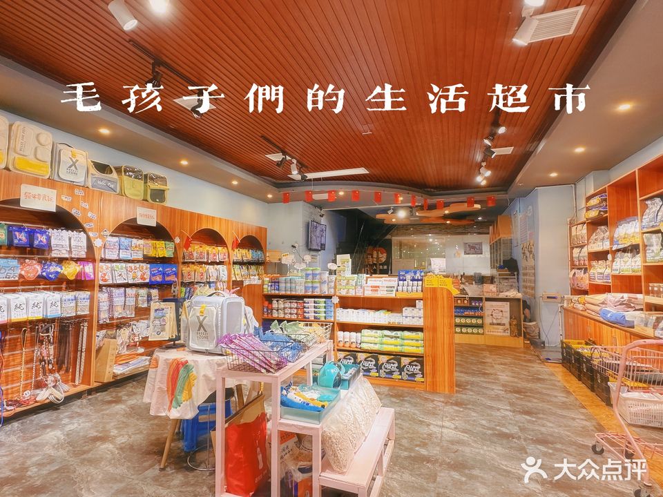 壹家宠物(河西店)