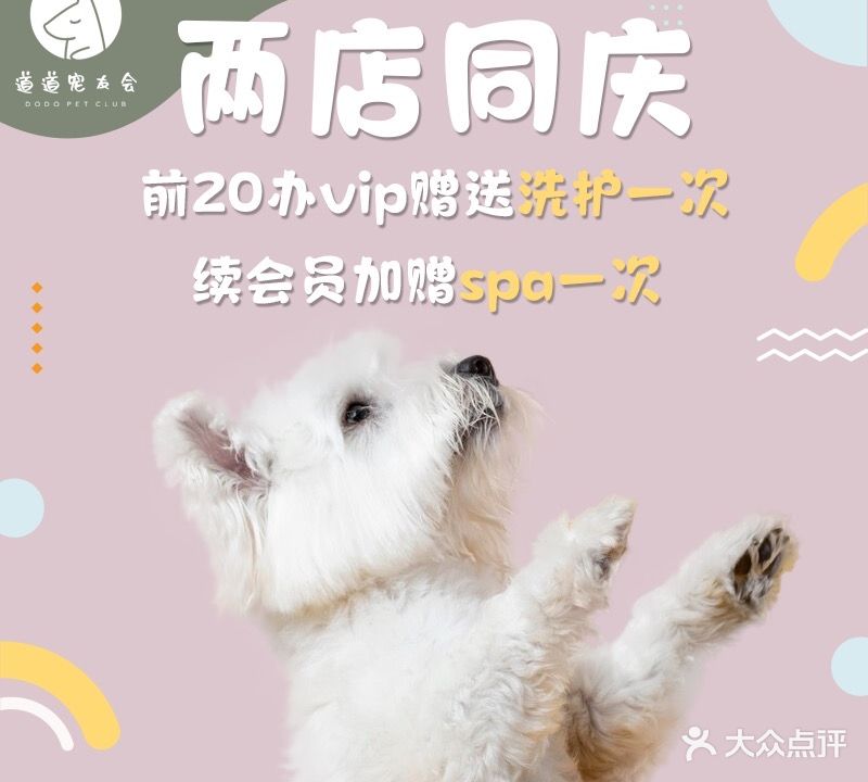 道道宠友会