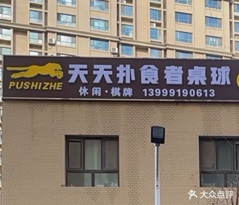 天天扑食者桌球
