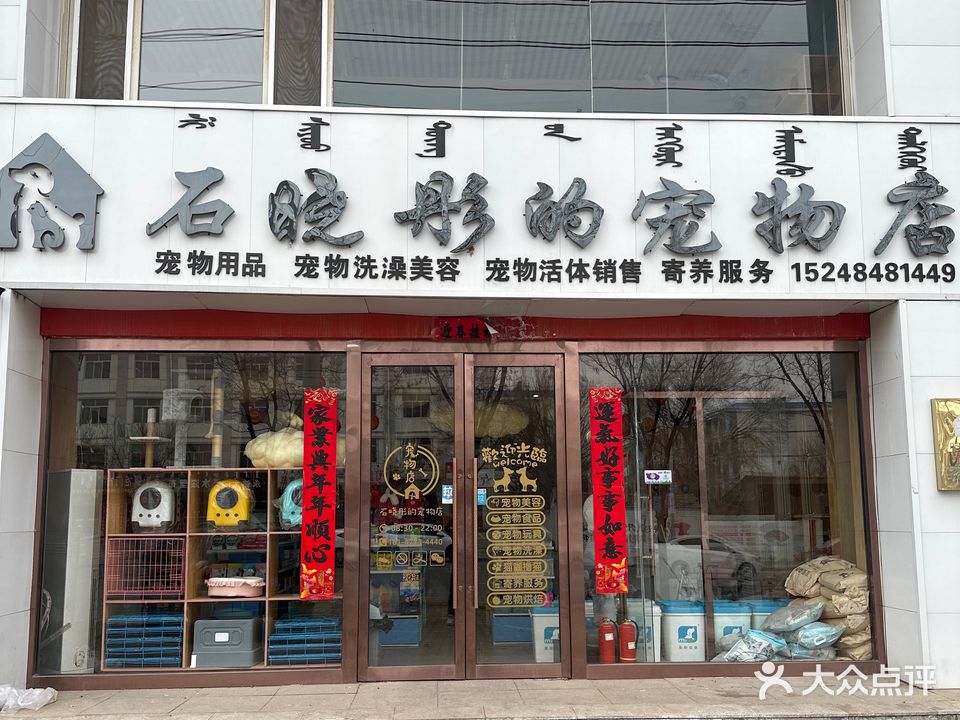 石晓彤的宠物店