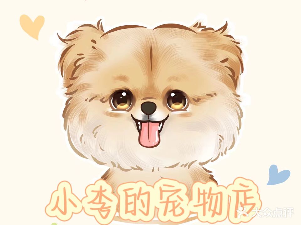 小李的萌宠物店