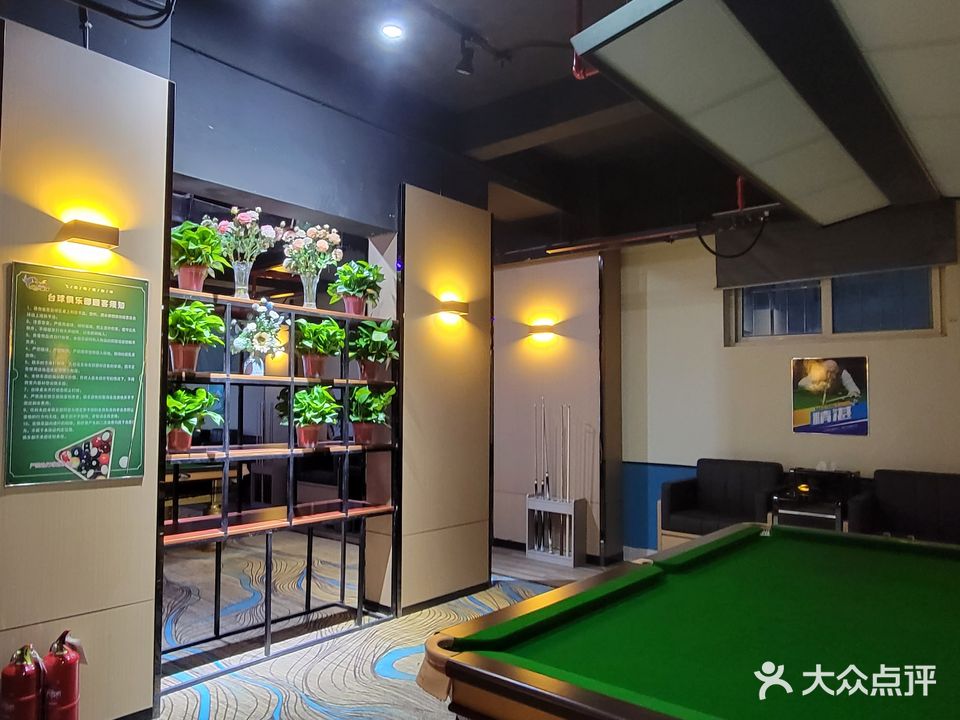 飞鱼台球(青年街店)
