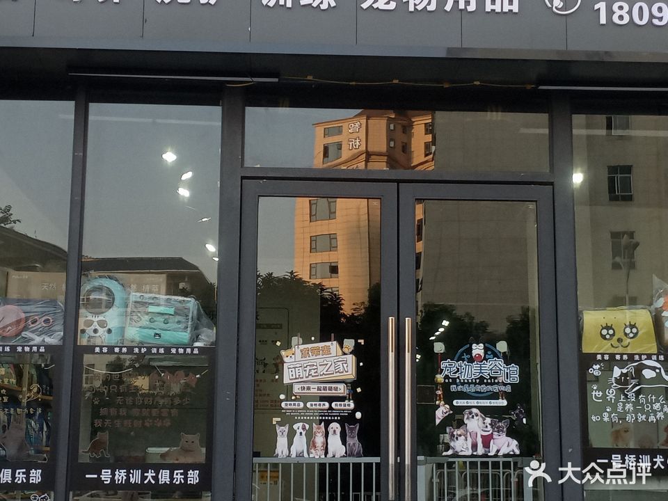 一号桥训犬俱乐部(东南店)