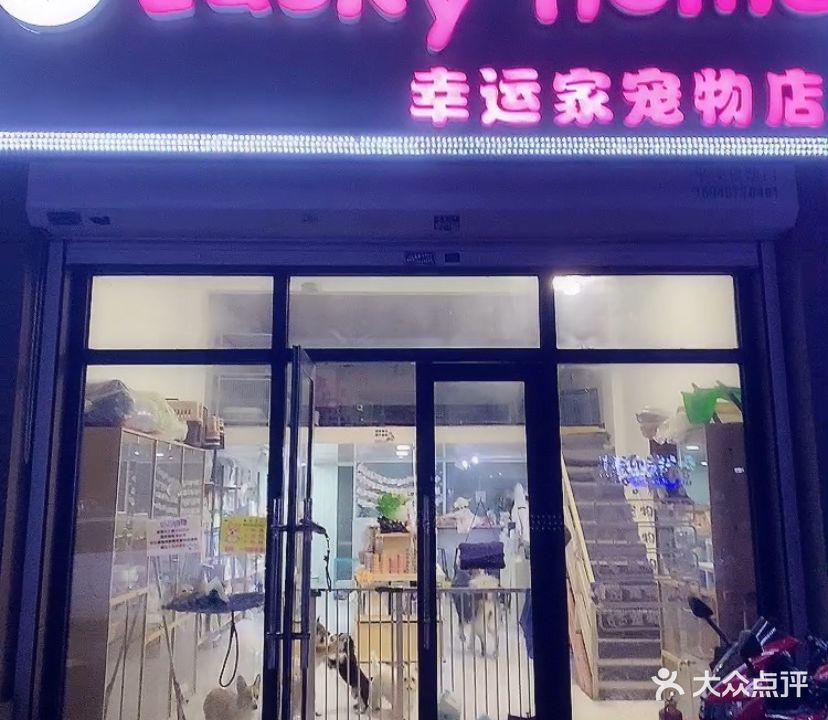 Luckyhome幸运家宠物店