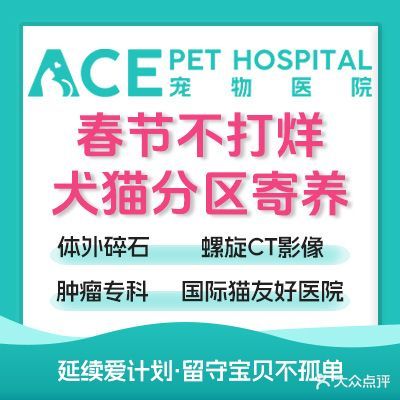 ACE绿舟宠物医院