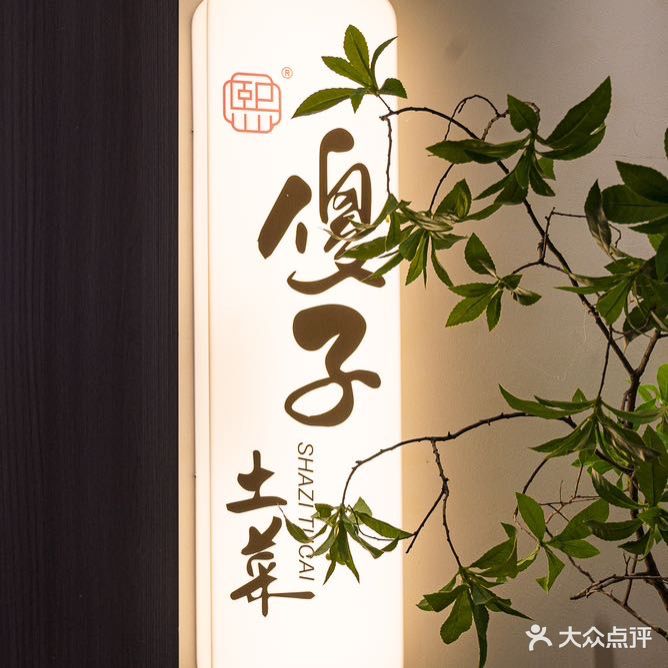 傻子土菜(安徽大剧院店)