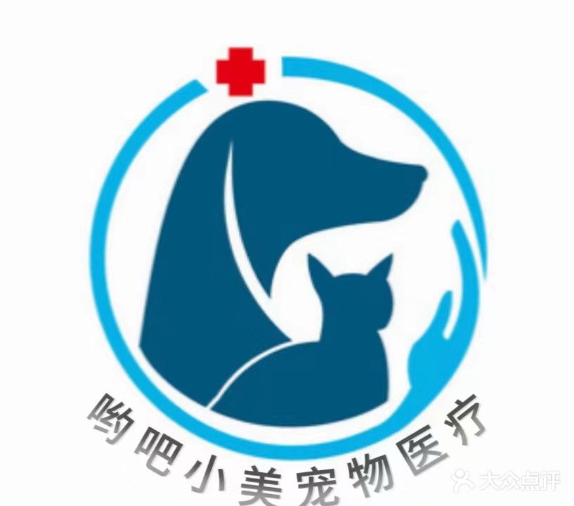 哟吧小美宠物店猫咖