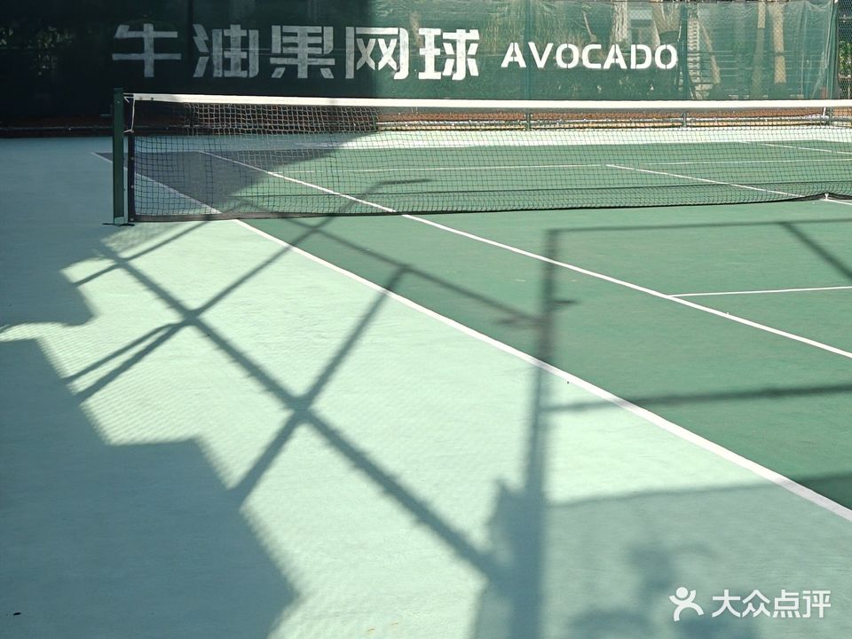 牛油果网球(滨北店)