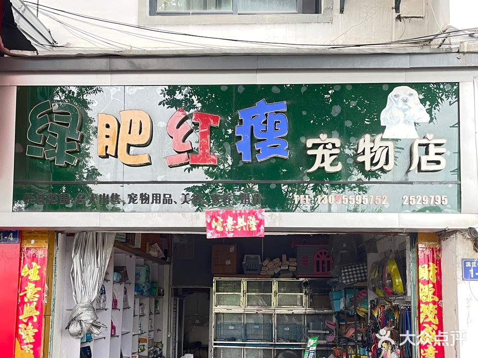 肥红瘦宠物店