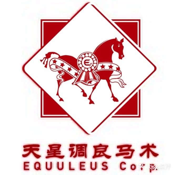 天马调良马术