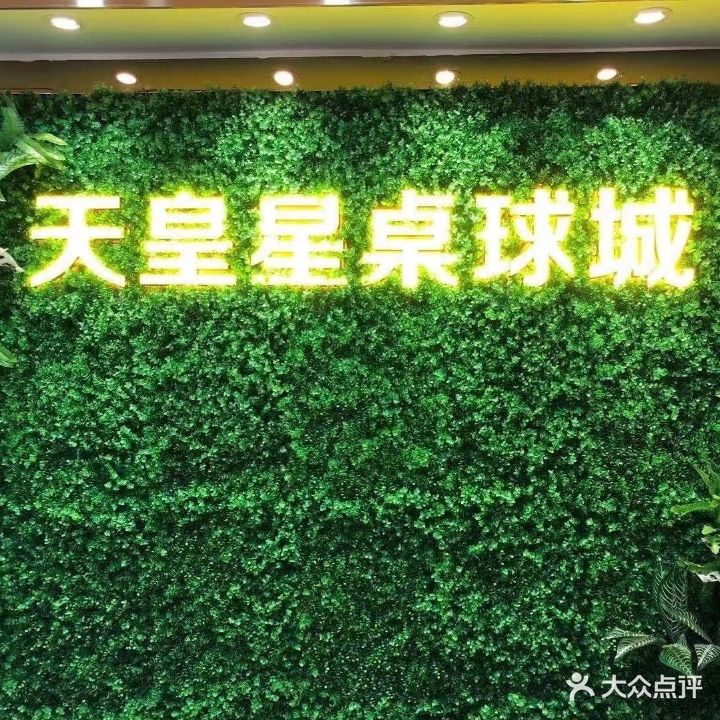 天皇星桌球城(永新商业城店)