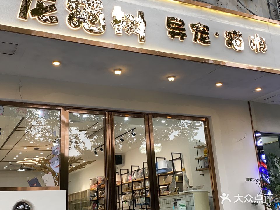 龙猫树异宠猫舍(市府广场店)
