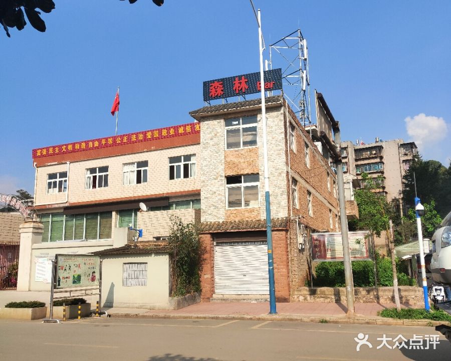 森林酒吧