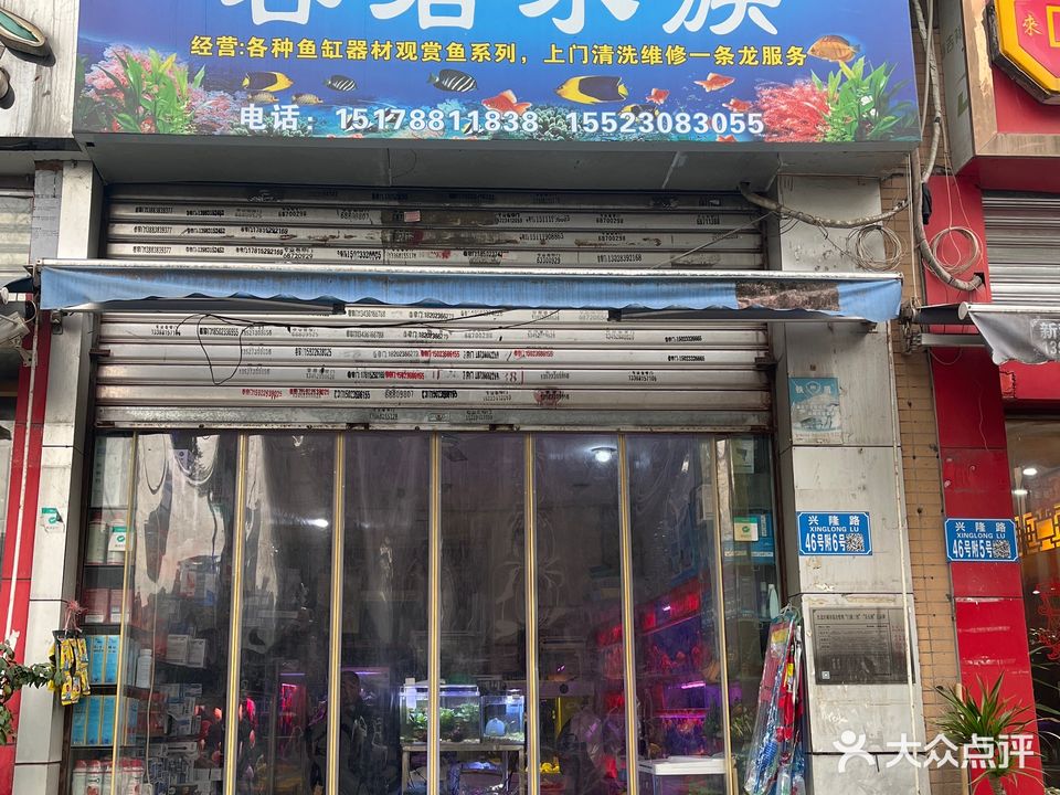 容军水族(洋河店)