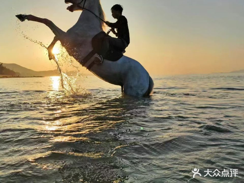 香水湾跑马场