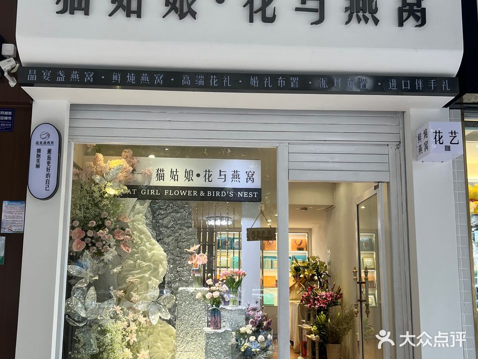 猫姑娘花与燕窝