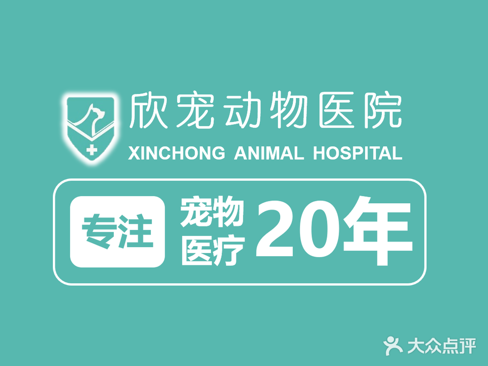 欣宠动物医院(桥南分院)