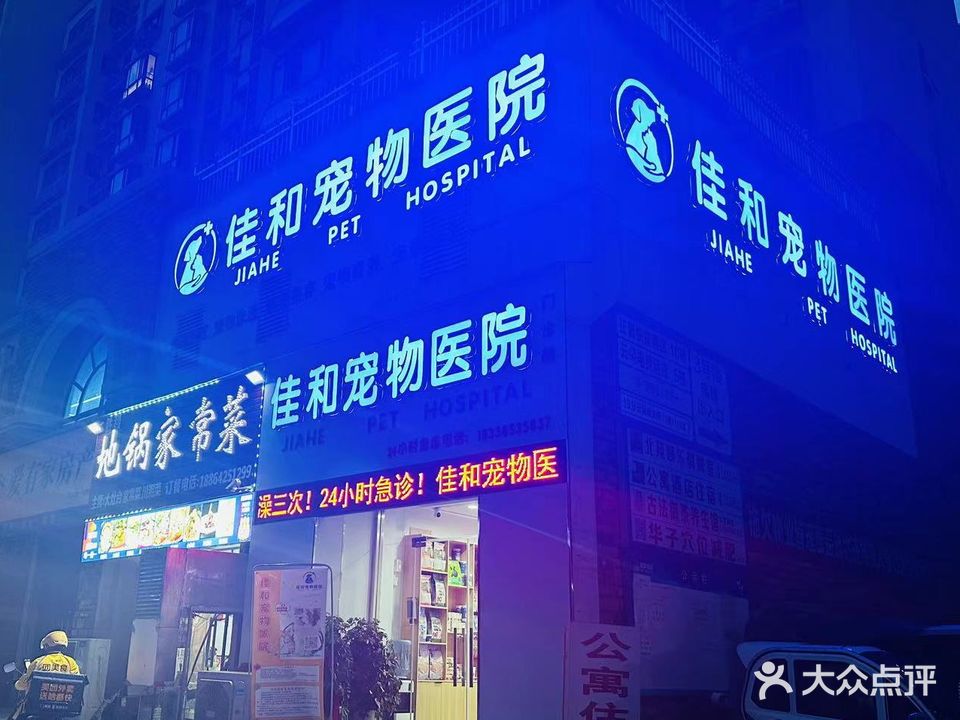 佳和宠物医院·犬猫微创绝育·宠物保险(天中第一城店)