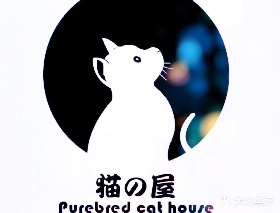 猫之屋萌宠物店