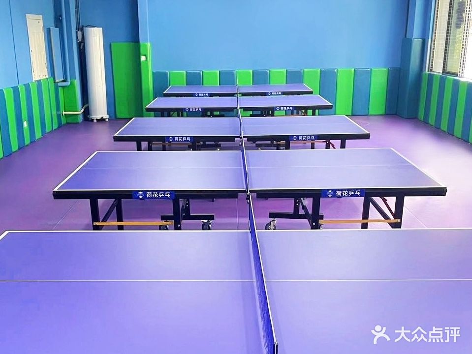荷花乒乓球