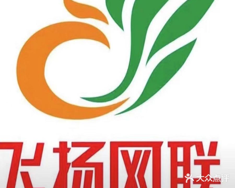 凤飞扬网