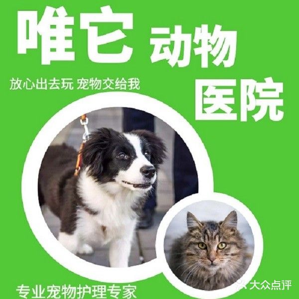 唯它动物医院