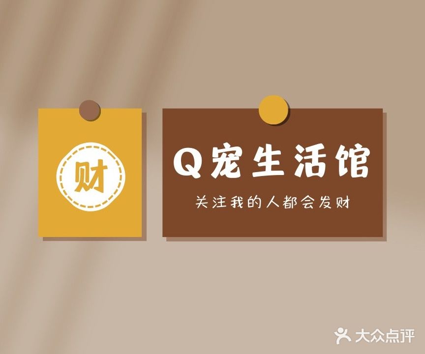 Q宠生活馆