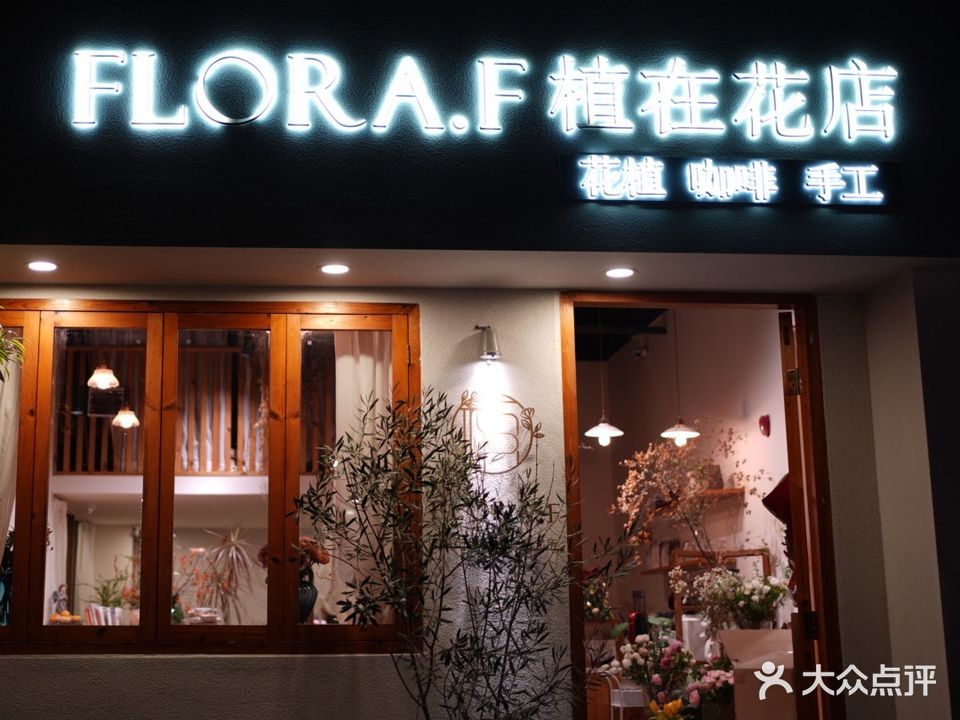 植在花点