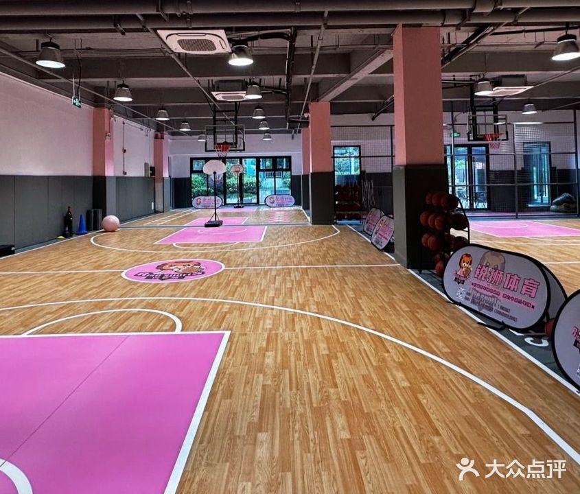 锐狮少儿篮球运动馆(城市之光校区)