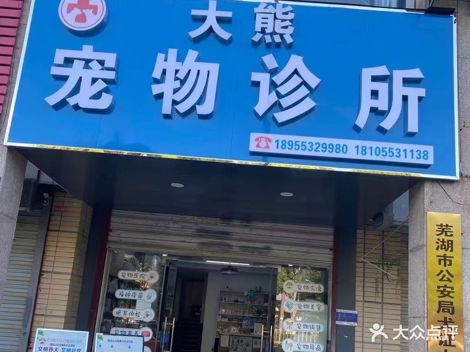 大猫宠物诊所