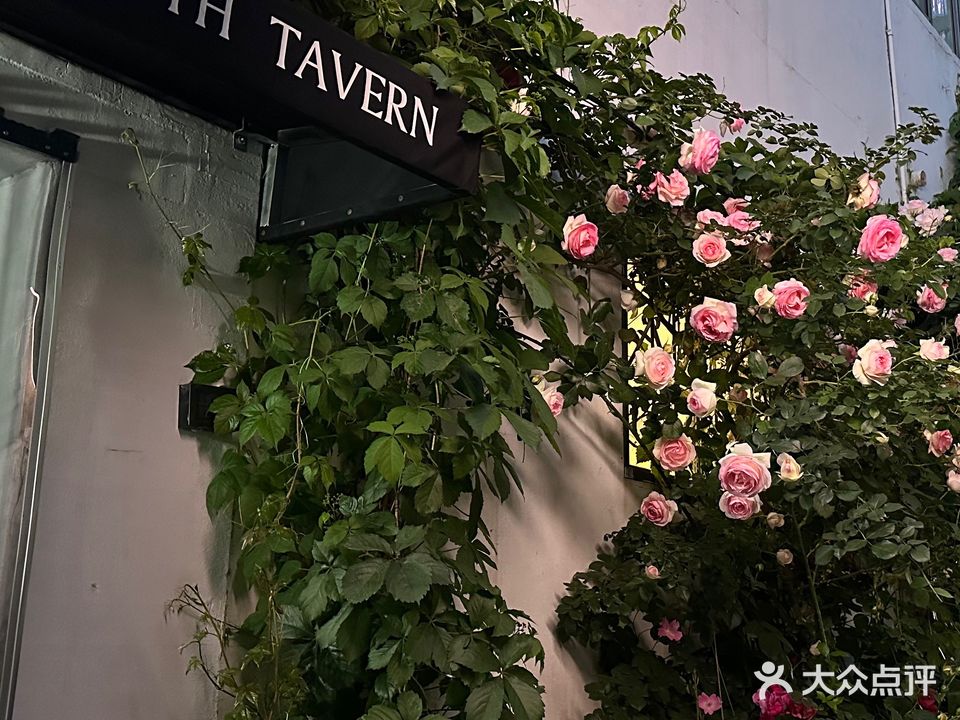 South Tavern南·酒屋