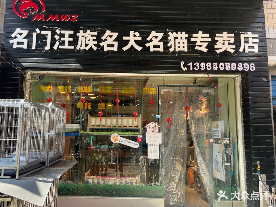 名门汪族名犬名猫专卖店(花鸟市场店)