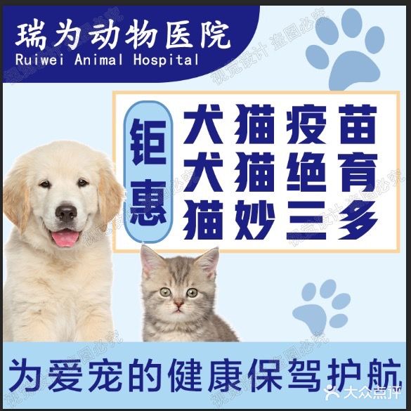 瑞为动物医院·猫专科(陈村分院)