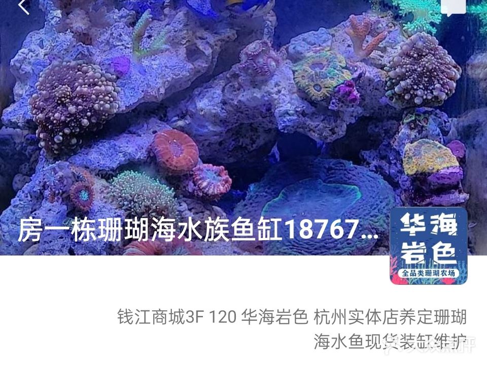 华海岩色珊瑚生态水族馆