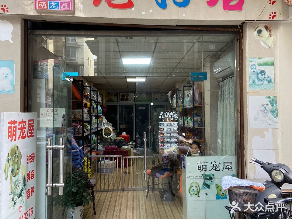 萌宠屋宠物店