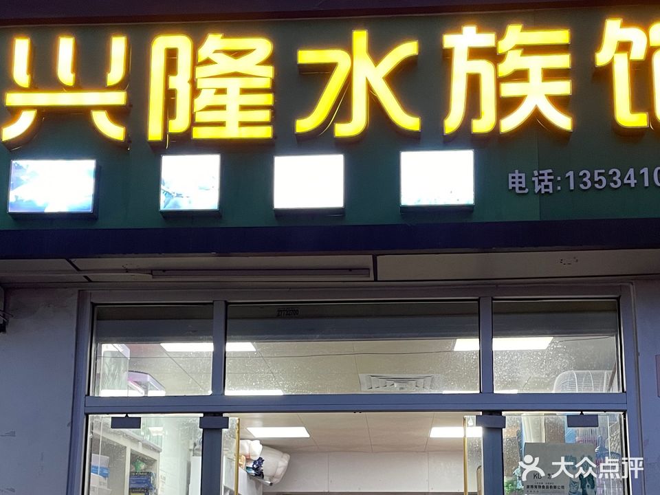 兴隆水族馆(玉律市场商业步行街店)