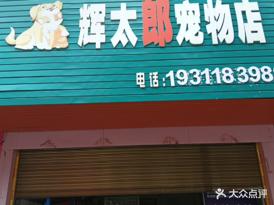 辉太郎宠物店