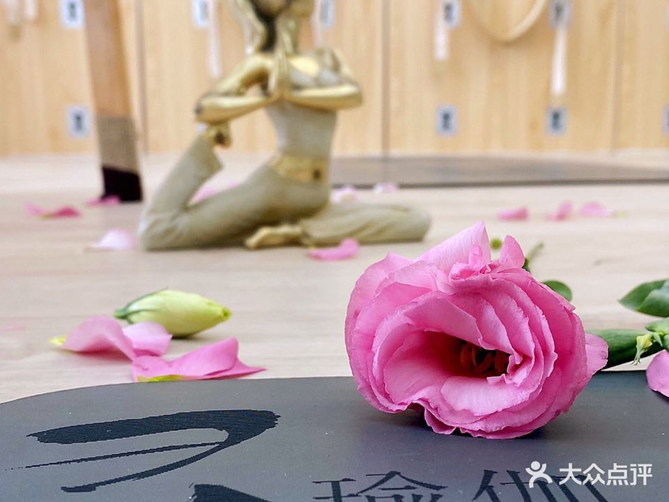 灵期瑜伽(大行宫店)