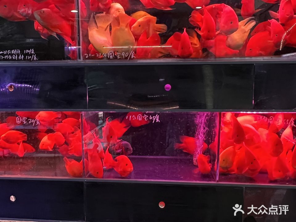 森森四水(宏帆望海花都)