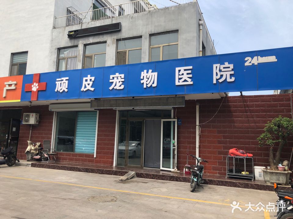 顽皮宠物医院(海岱中路店)