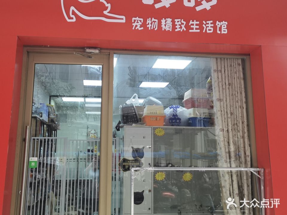 哆哆萌宠猫舍