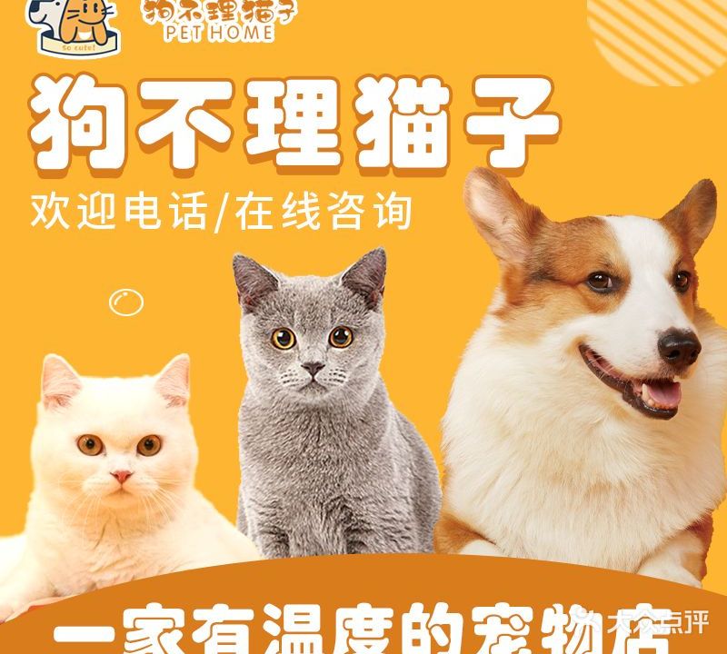 狗不理猫子宠物店