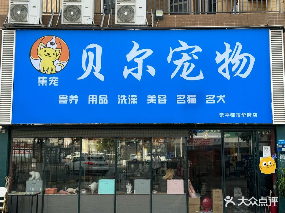 集宠·贝尔宠物(都市华府店)