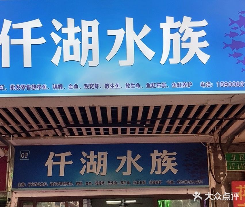 仟湖水族(望江西路店)