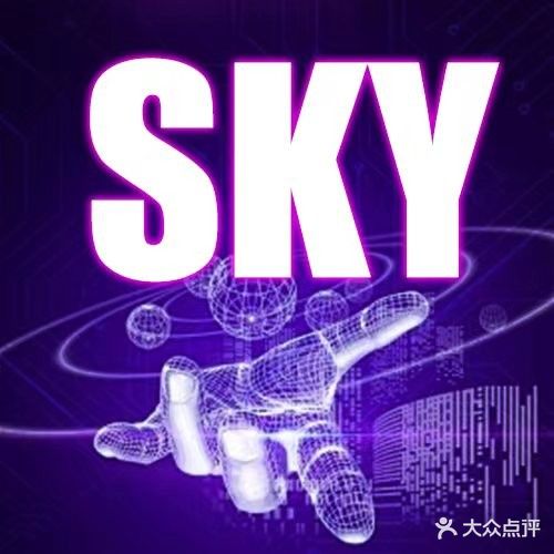 SKY·智慧KTV(金银湖万达广场店)