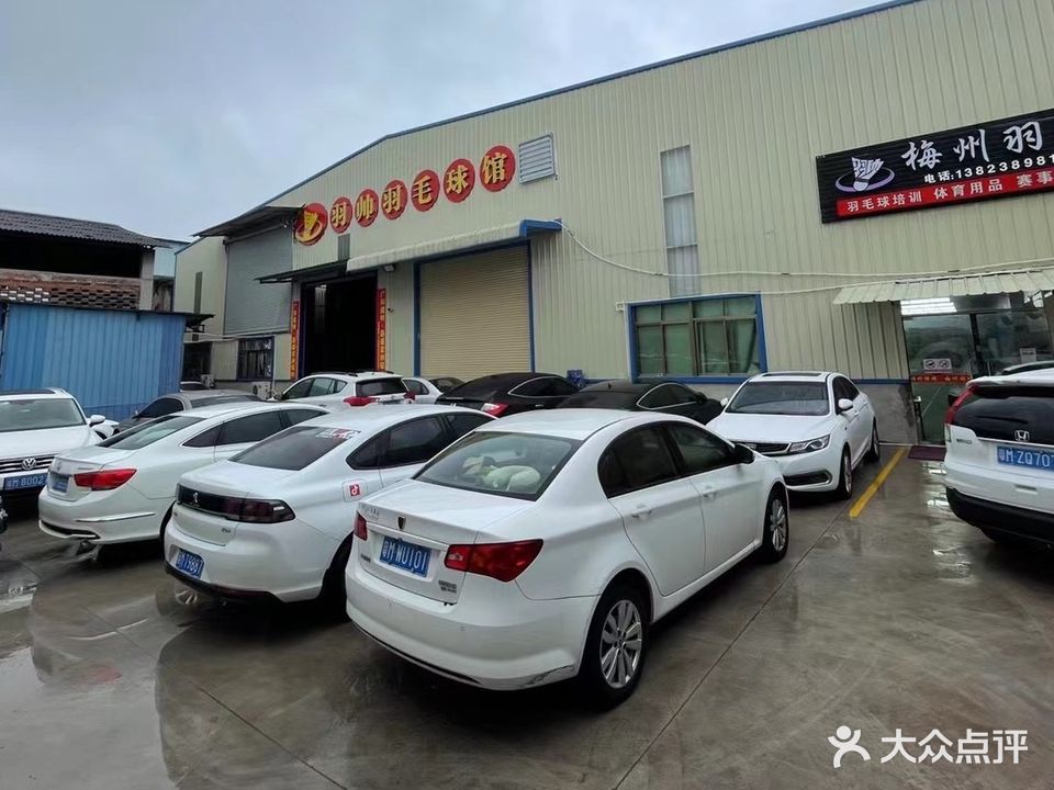 羽帅羽毛篮球